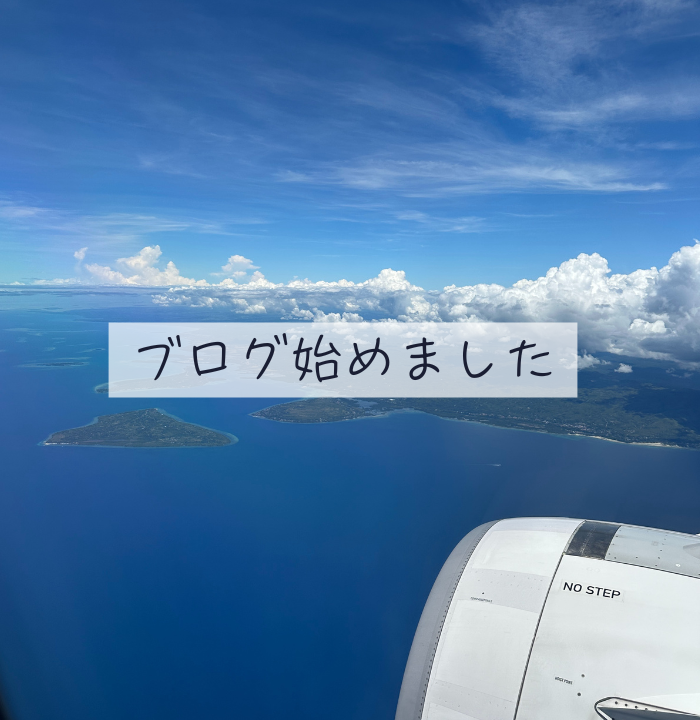 段落テキスト (1)