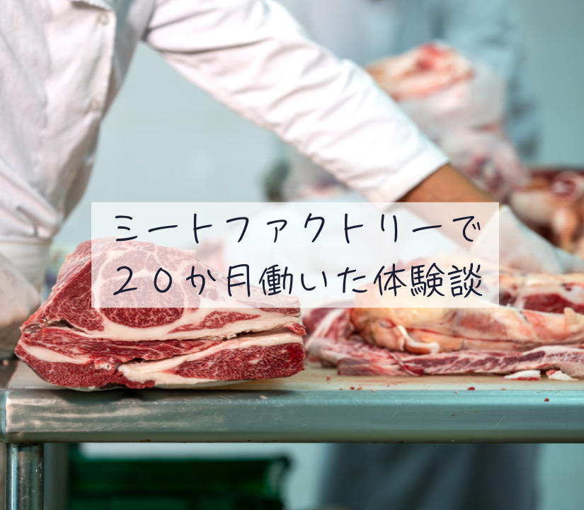 ミートファクトリー体験談