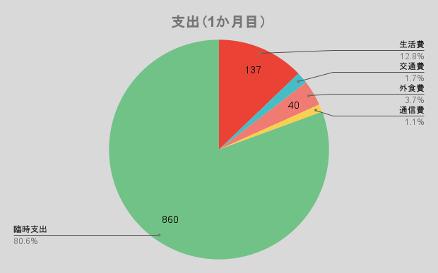 支出（1か月目）