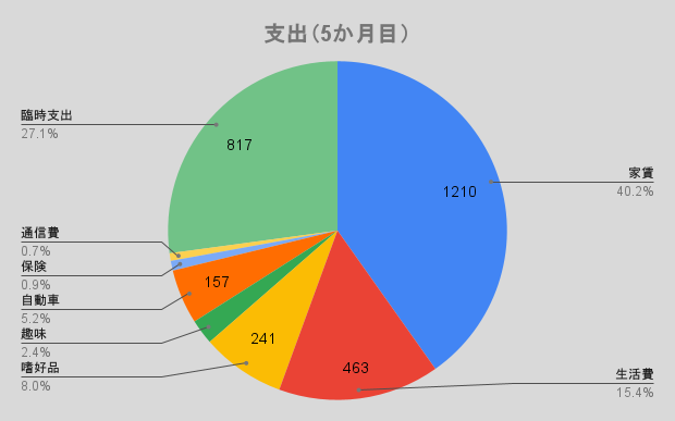 支出（5か月目）