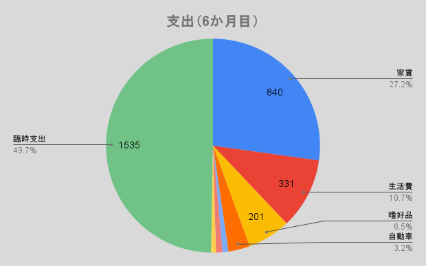 支出（6か月目）