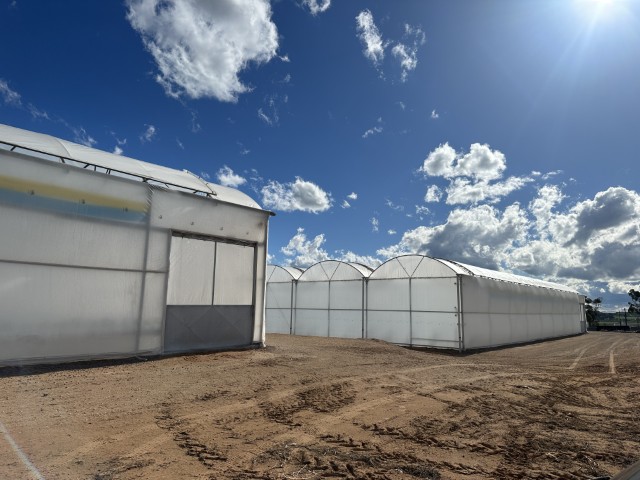 グリーンハウスの様子