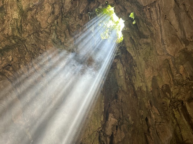 ブルーマウンテン３ (小)