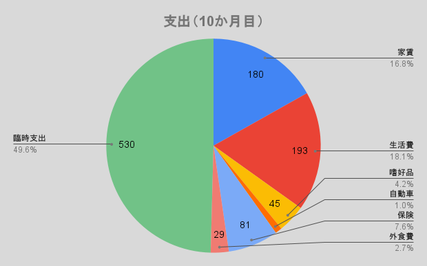 支出（10か月目）