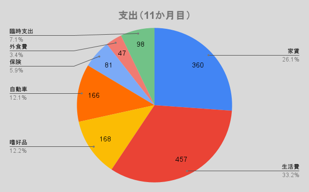 支出（11か月目）