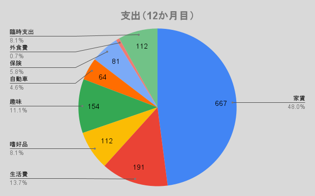 支出（12か月目）